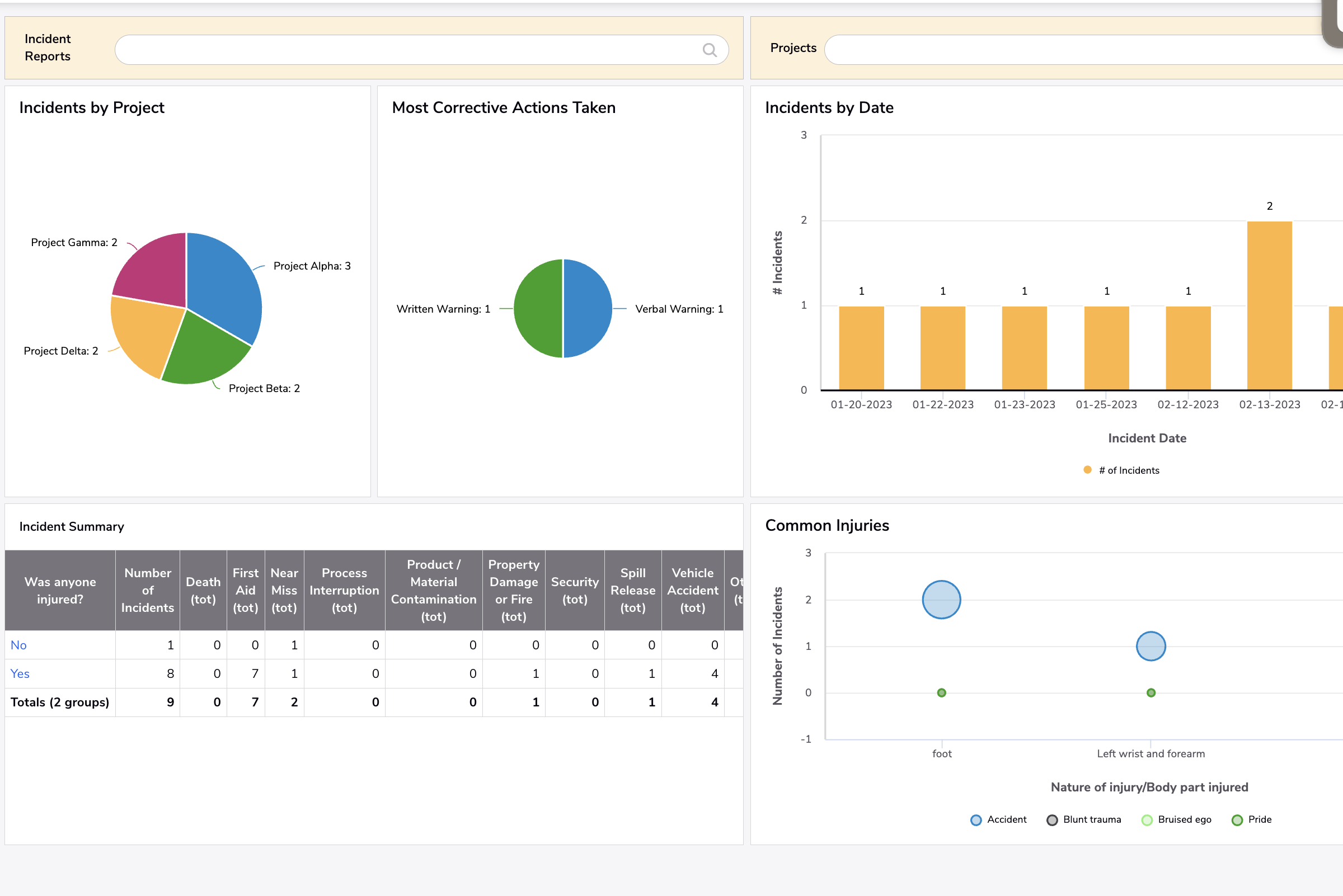 Project Incident Tracking and Corrective Actions